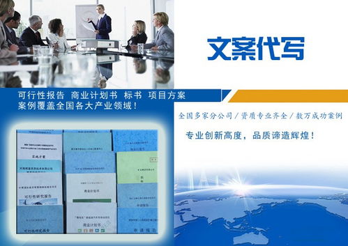 重庆可行性研究报告代写范文汽配项目模板